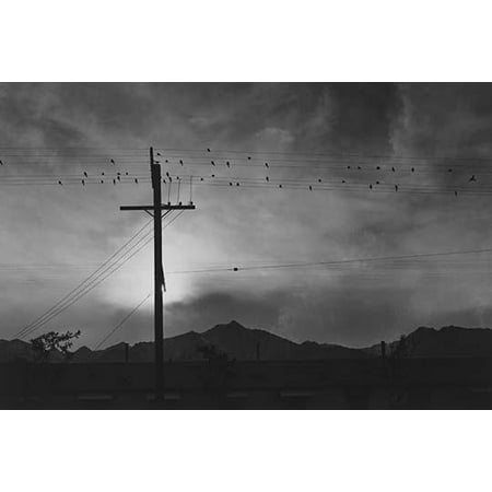 Birds sit on power lines above buildings mountains and setting sun in the background  Ansel Easton Adams was an American photographer best known for his black-and-white photographs of the American