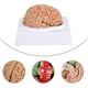 thumbnail image 5 of 1 PC Novela Modelo de cerebro humano Modelo de cerebro anatómico creativo médico (rosa), 5 of 6