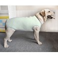 thumbnail image 4 of VEEKI Recovery Kit for Pet Dogs Post Surgery Shirt for Female and Male Dogs, E-Neck Replacement Wound Protective Clothing for Large Dogs (Size 4XL), 4 of 5