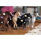 thumbnail image 3 of Set de juego con figuras de juguete Schleich Horse Club Sofia's Beauties 5+, 3 of 6