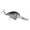 Natural Shad, variant on Strike King KVD 1.5 Flatside Chili Craw