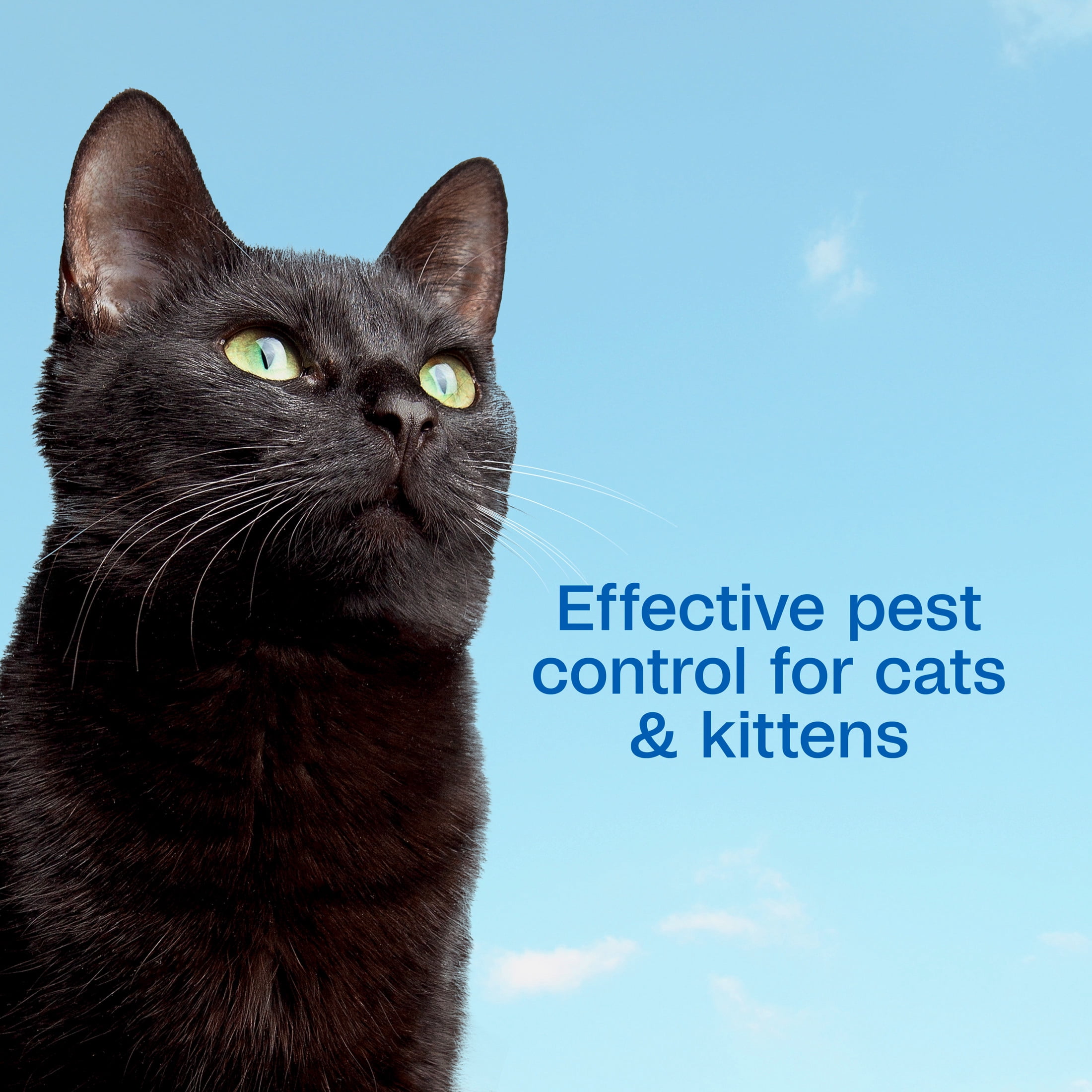 ADAMS Plus Flea & Tick Foaming Shampoo & Wash for Cats & Kittens Over 12 Weeks, Sensitive Skin Flea Treatment for Cats & Kittens, Kills Adult Fleas, Ticks and Lice On Contact, 10 Fluid Ounces