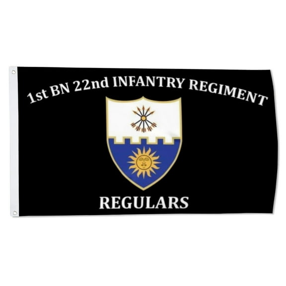 2but 22nd IN. Flags 1st bn 22nd Infantry Regiment flag Regulars Banner US Army Military Flags Polyester 3x5 FT Indoor Outdoor