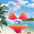thumbnail image 4 of Fesfesfes Swimsuit for Women Women One-Piece V-Neck Bikini Long Sleeve Push-Up Pad Swimwear Swimsuit Beachwear, 4 of 6