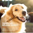 thumbnail image 3 of Pet Wipes Wet Ones, toallitas multiusos para perros, aloe vera, 50 unidades, 3 of 8