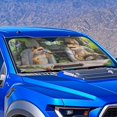 thumbnail image 4 of HUIACONG Bearded Dragon Driving Pattern Car Windshield Sun Shade, Easy Storage Foldable Car Accessories Cat Front Window Car Sun Shade for Car Front Windshield Window Trucks Universal, 4 of 7