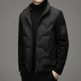 thumbnail image 2 of Chaqueta de plumón ligera de invierno 2024, chaleco de dos piezas falso de plumón de pato gris, abrigo corto informal con cuello alto y mangas de punto para hombre, 2 of 3