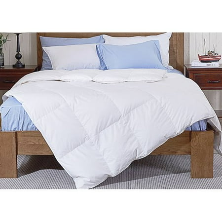 Alwyn Home Midweight Winter Down Comforter
