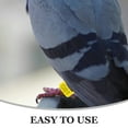 thumbnail image 6 of 100Pcs Pigeon Foot Rings Pigeons Leg Rings Racing Pigeon Bird Leg Bands Bird Foot Rings, 6 of 6