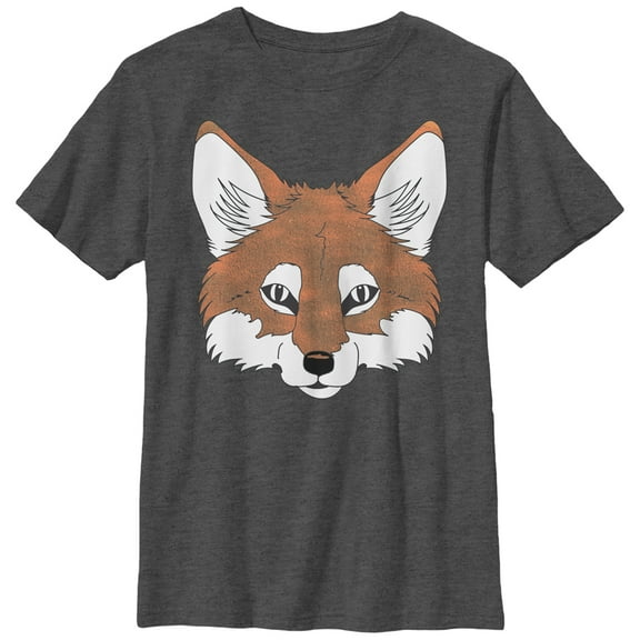 Boy's Lost Gods Fantastic Fox Face Graphic Tee Charcoal Heather Medium