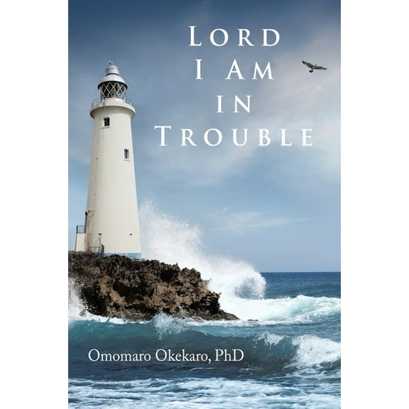 Lord I Am in Trouble, (Paperback)