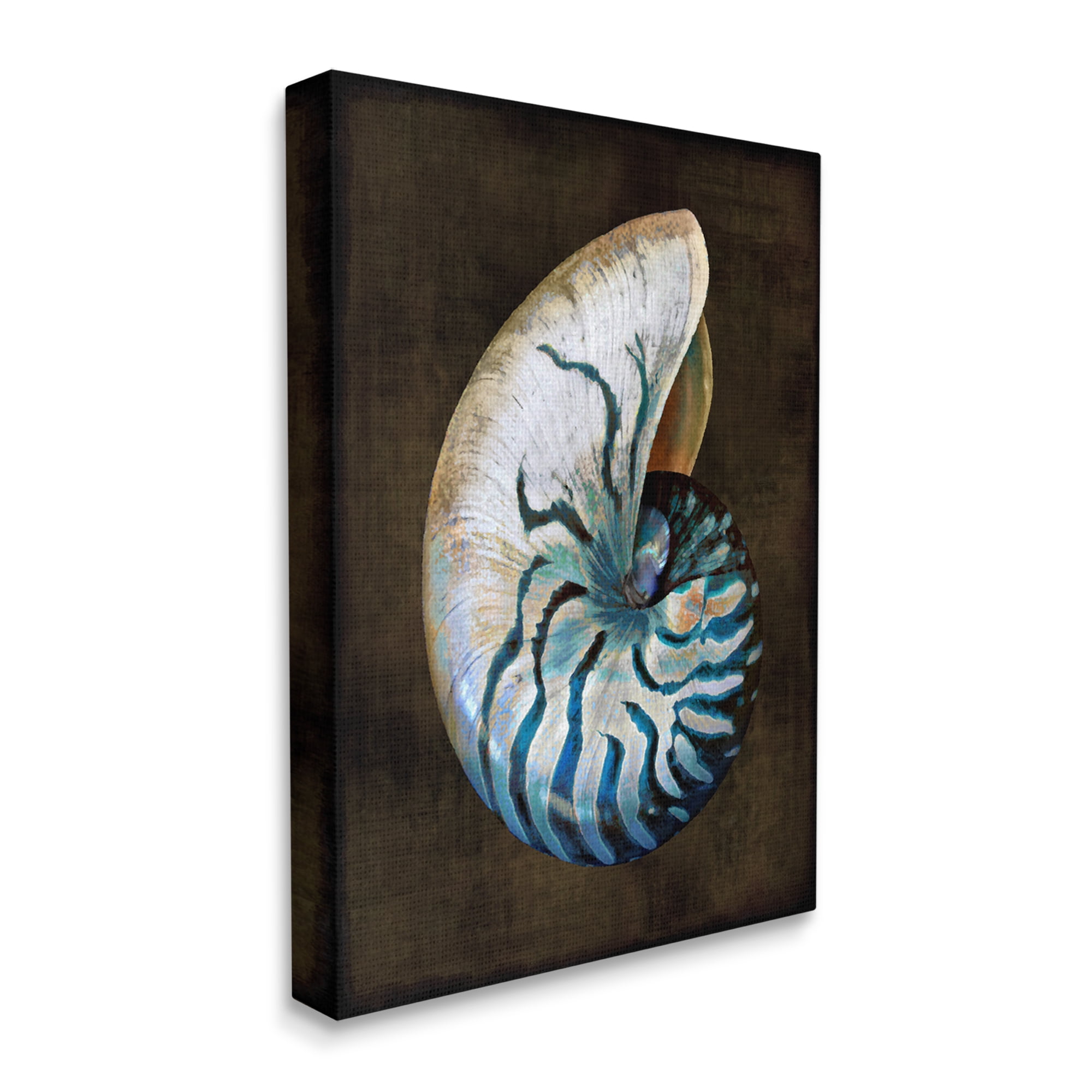 Stupell Industries Dark Nautilus Shell Nature Painting Gallery Wrapped Canvas Art Print Wall Art, 16 x 20