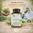 thumbnail image 5 of Kidney(Riñones)& Bladder Wellness Support–100% Natural Supplement W/Chanca Piedra, Horsetail & Cranberry Supplement,Magnesium & Vitamins B6, B12, C & D–Botanical & Mineral Herbal Blend–by BexpertsUSA, 5 of 9