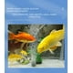 thumbnail image 3 of Bomba de oxígeno silenciosa para el hogar con espejo cruzado, bomba de oxígeno para pecera, pequeña bomba de oxígeno para pesca portátil con USB para acuario, 3 of 6