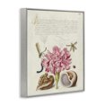 thumbnail image 3 of Stupell Industries Victorian Antique Flower & Snails Gray Framed Giclee Art, 24 x 30, by June Erica Vess, 3 of 8