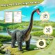 thumbnail image 4 of Paseo de dinosaurios en un coche de juguete Twinkoo, braquiosaurio realista para niños, 4 of 9