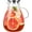 1 gallon, variant on Glass Pitcher with Lid,1 Gallon Glass Water Pitcher Hot/Cold Water Jug, Juice and Iced Tea Beverage Carafe with Lid (Extra-Wide Mouth)