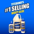 thumbnail image 2 of Franklin International 5003 Titebond-2 Premium Wood Glue, 8-Ounce, 2 of 9