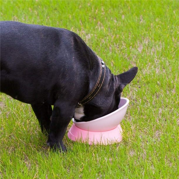 Bulldog feeding outlet bowl