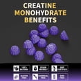 thumbnail image 4 of Gomitas Nutravita de monohidrato de creatina para hombres y mujeres: 5 g de monohidrato de creatina por porción, sin azúcar, veganas, sabor a uva, 120 unidades, 4 of 5