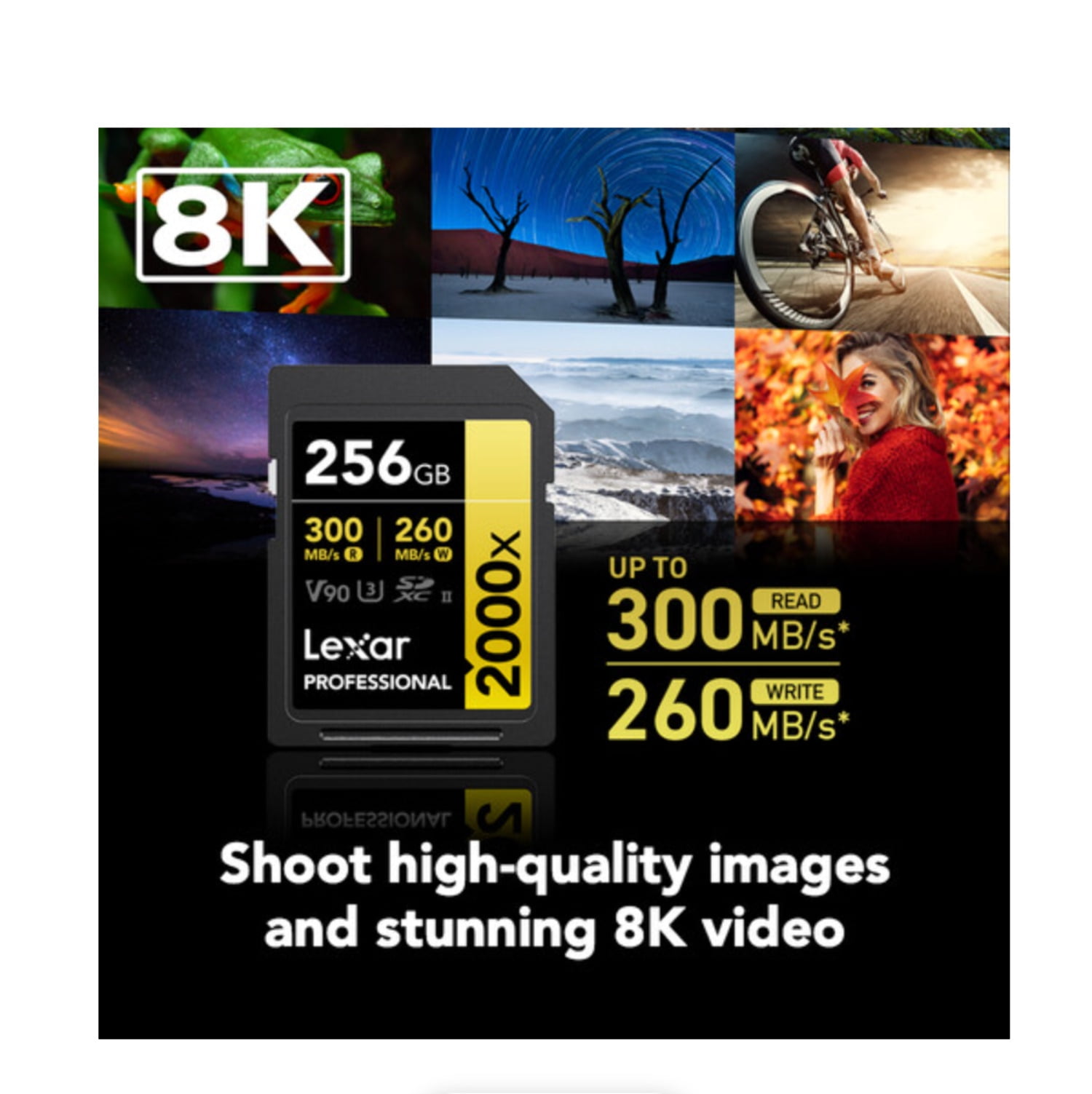 Lexar LSD2000256G-BNNNU 256GB Professional 2000X UHS-II SDXC Memory Card