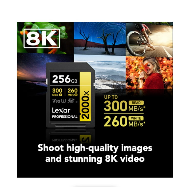 Lexar 256GB Professional SD Memory Card - High Speed Video Lexar 256GB Professional SD Memory Card - High Speed Video
