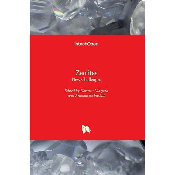 Zeolites: New Challenges (Hardcover)