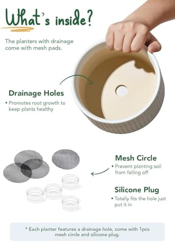 BEMAY 2-Pack 8+6.5 inch White Ceramic Succulent Pots with Drainage Holes for Indoor, Patio, and Garden Decor Plant Pots