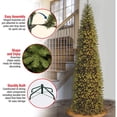 thumbnail image 4 of National Tree Company Prelit Kingswood Fir 12ft Pencil Artificial Tree, 4 of 5