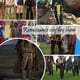 thumbnail image 2 of Pantalones piratas American Trends para hombre, negros, L, renacentistas, 2 of 8