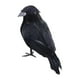 thumbnail image 4 of Cuervos con plumas negras de Halloween, decoración de cuervos artificiales aterradores hechos a mano de aspecto realista para fiestas, eventos, hogar, Estilo B, 4 of 8