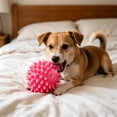 thumbnail image 6 of Cinvoph 2 Pack Dog Chew Toys, Hedgehog Latex Squeaky Ball, Durable Bite Resistant Puppy Teething Toys, Dental Cleaning Boredom Relief 2.5"x4", 6 of 7