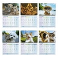 thumbnail image 6 of 2026 Kitten Themed Calendar Twin Coil Binding Wall Mounted Monthly Calendar, 6 of 11