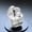 White, variant on True Wireless Bluetooth Headphones - Bluetooth 5.3 TWS Technology, Low Power Consumption & Long Battery Life, Multi-Color Fashion Design for Daily Commutes & Gym
