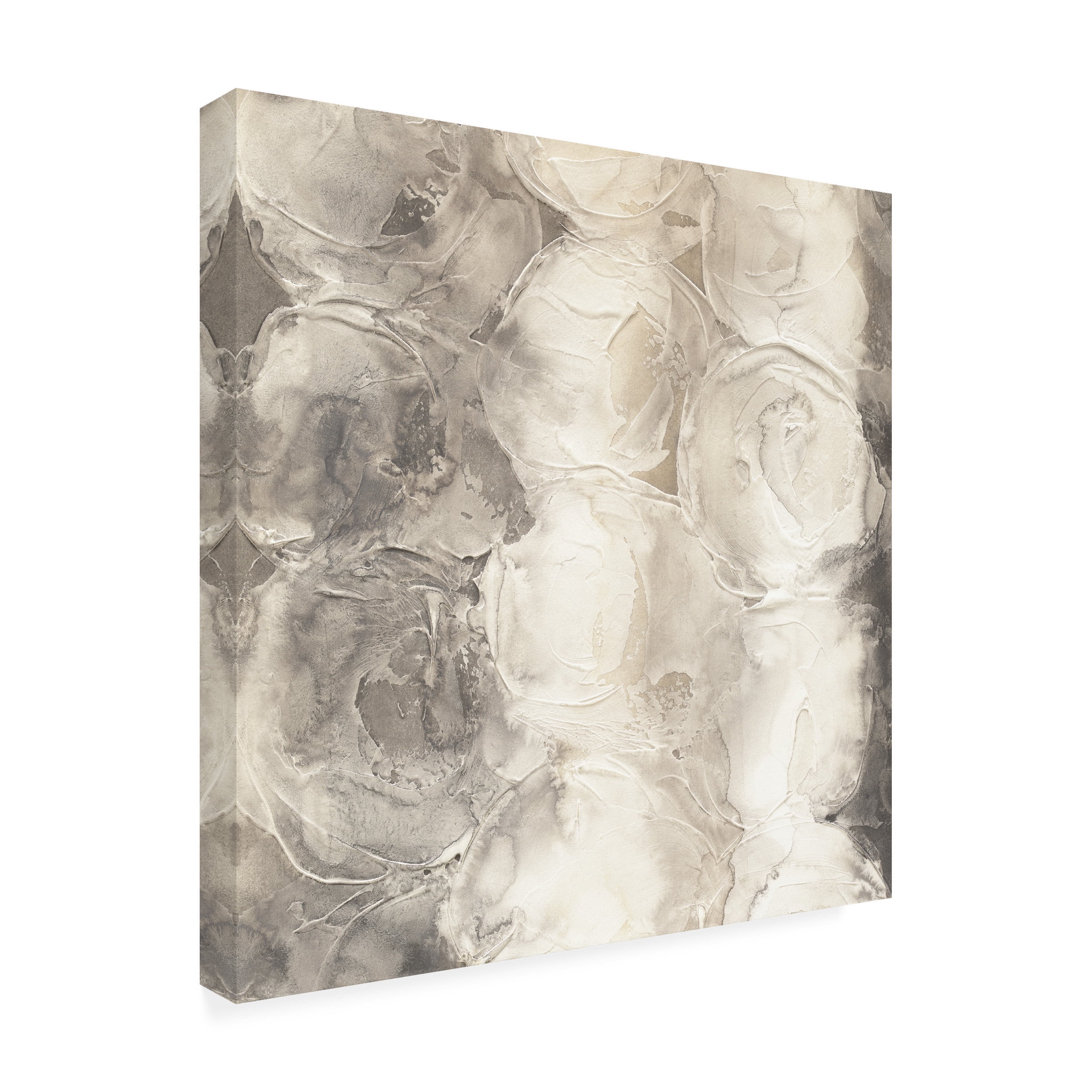 Chris Paschke 'Gray Circles I' Canvas Art