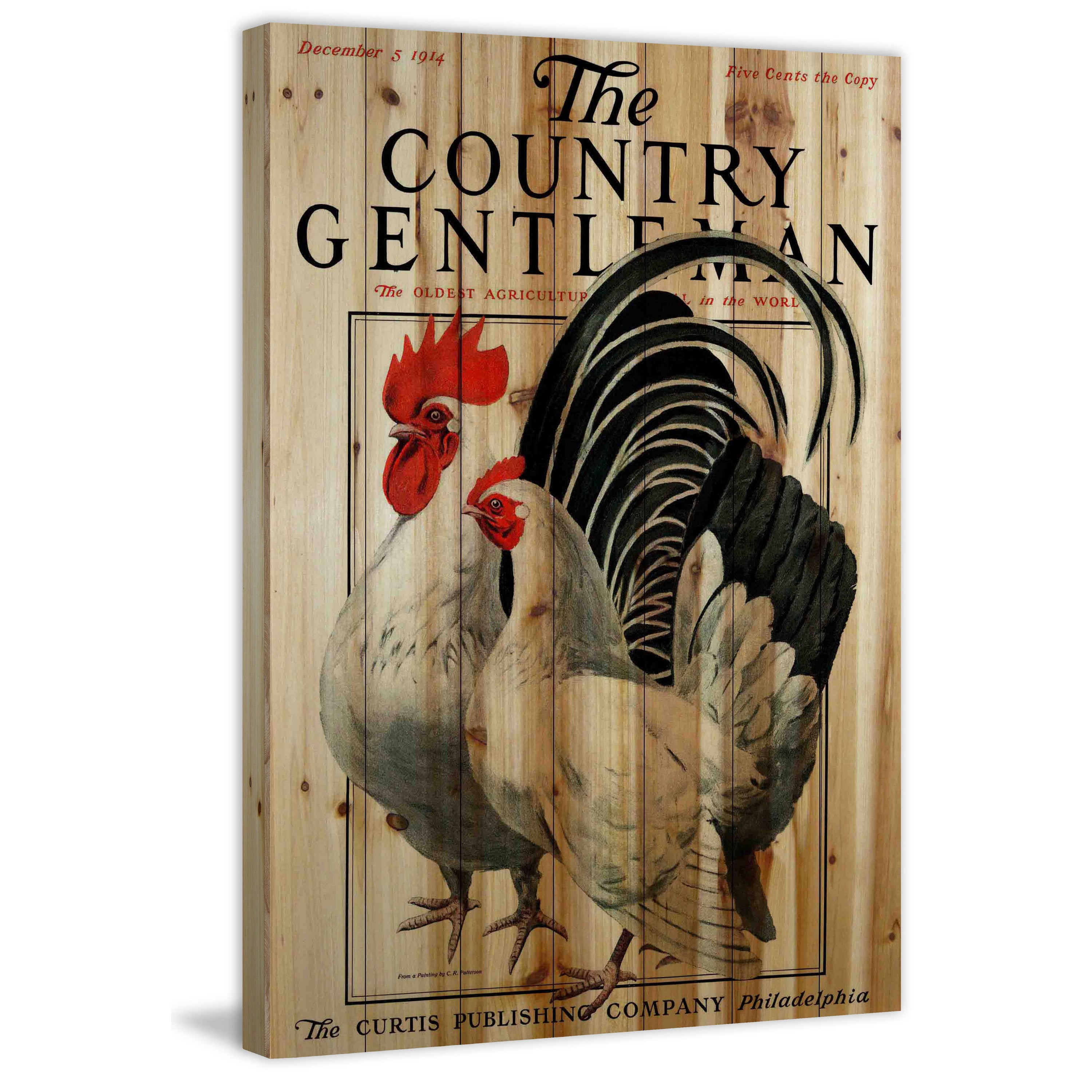 Marmont Hill "CG Poultry" Painting Print on Natural Pine Wood