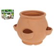 thumbnail image 1 of Jardinera peque?a de hierbas de terracota LingWen 8390605732812, 1 of 1