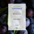 thumbnail image 5 of BLUE BREW 6oz Guatemala Antigua Whole Bean Coffee – La Flor Del Café | Washed Process | Bright to Medium Roast | Notes of Apples, Plums, Honey, Nuts, Cocoa & Caramel | Premium Single Origin, 5 of 5