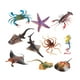 thumbnail image 5 of 10 piezas de animales realistas, modelo de Animal Artificial, juego de juguetes, figuras realistas para colección para niños, accesorio de enseñanza, 5 of 9