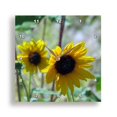 3drose, Two Sunflowers in a Field of Green, 13x13 Wall Clock - Walmart.com