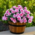 thumbnail image 3 of Artificial Fake Outdoor Flowers Plants for Spring Home Decoration, Faux Silk Red Camellia UV Resistant Realistic Look Real for Planter Outside Front Door Porch Patio Balcony, 3 Bundles, 3 of 5