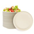 thumbnail image 1 of 140 Pack 10 Inch Paper Plates, 100% Compostable Biodegradable Disposable Plates, Heavy Duty Bagasse Sugarcane Plates for, 1 of 7