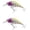 a, variant on Bisitoy 2Pcs Versatile Fishing Lures Set with Mixed Colors for Trout Salmon