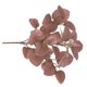 thumbnail image 3 of Billuyoard Hojas de eucalipto Planta artificial Hojas Centro de Hojas Oficina en el hogar Fiesta de boda Decoración Planta Plantas Artificiales rojo Billuyoard HA6648-06B, 3 of 6