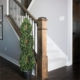 thumbnail image 2 of Vickerman 4' Boxwood Double Spiral (Uv) - Tp170948, 2 of 3