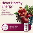 thumbnail image 4 of Snap Supplements Beet Root Gummy for Heart Circulation & Immune Response, Energy Support, Blood Pressure Aid, 4 of 9