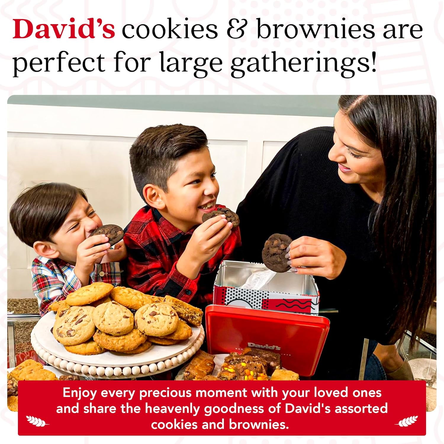 David’s Cookies Assorted Gourmet Cookies (10 x 2 oz) and Brownies (12 x 1.5 oz) Gift Tin