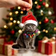 thumbnail image 5 of Dalxymotic Christmas Pet Acrylic Pendant, Christmas Acrylic Hanging Ornaments, Flat Printed Pet Pendant, Cute Ornament, Christmas Tree Decoration for Home, Mantel, Bookshelf, Desk, 5 of 8