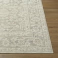 thumbnail image 2 of Livabliss x Nabela Noor Home Maan Printed Vintage Area Rug,9'1" x 12',Grey, 2 of 12