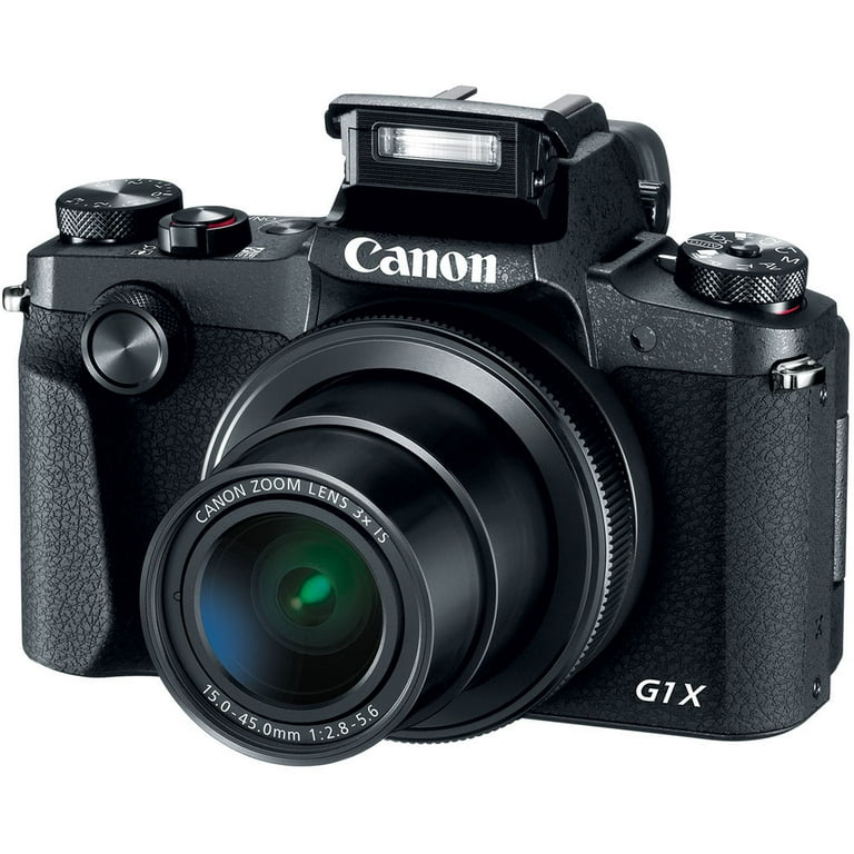 Canon G1 X Mark II sx710hs　2台セット！ Canon G1 X Mark II sx710hs 2台セット！